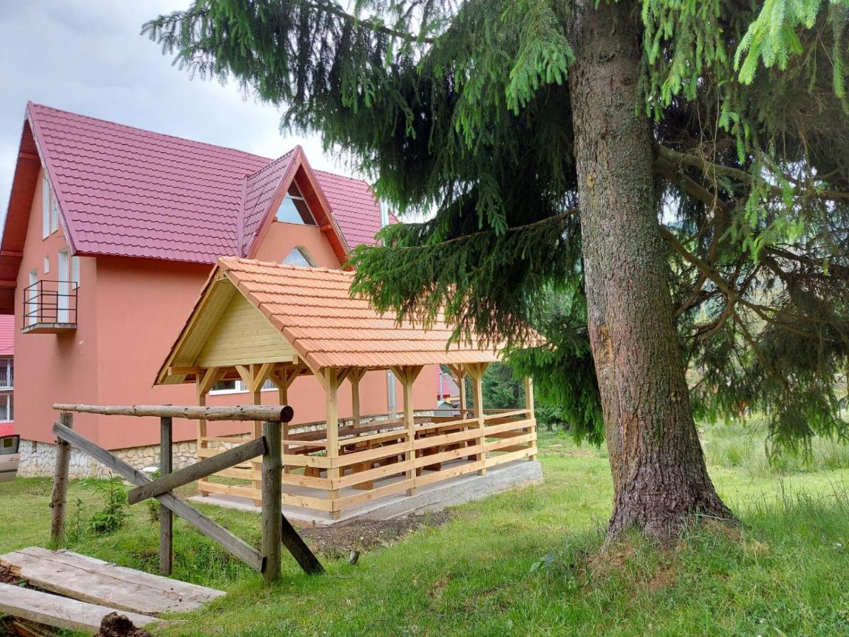 Villa Casa Bogdan Vârtop Esterno foto