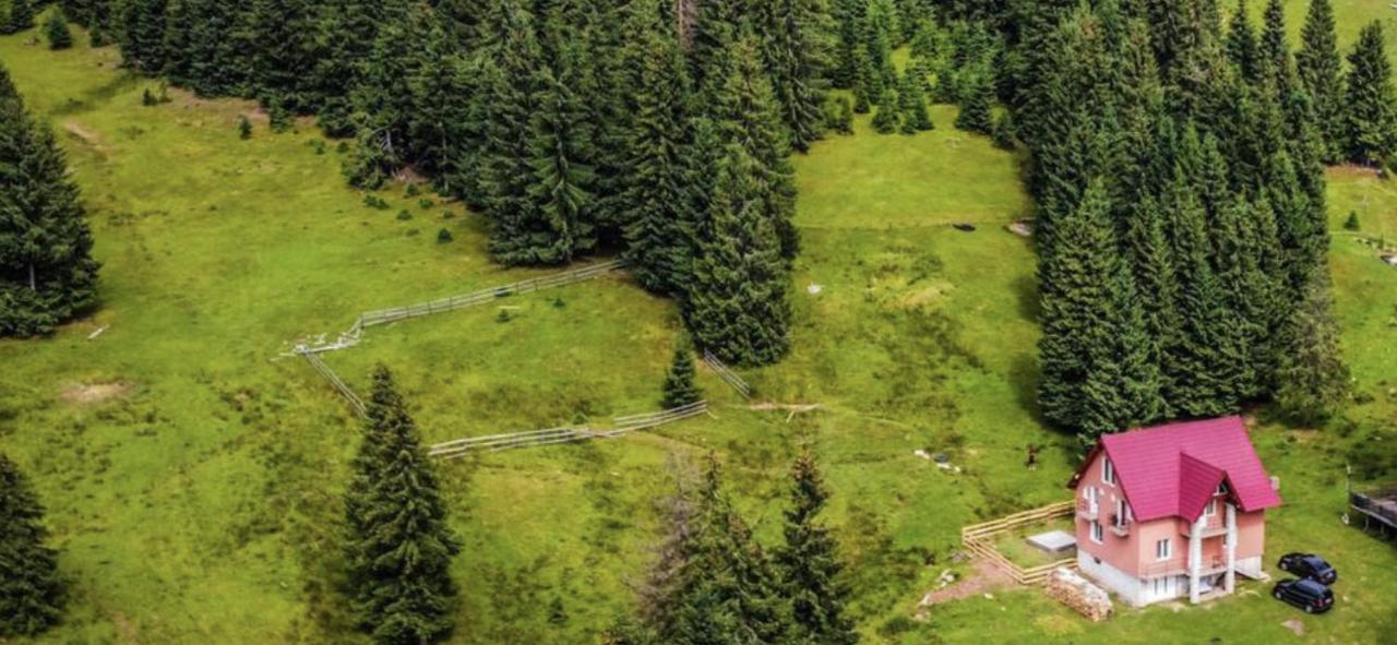 Villa Casa Bogdan Vârtop Esterno foto