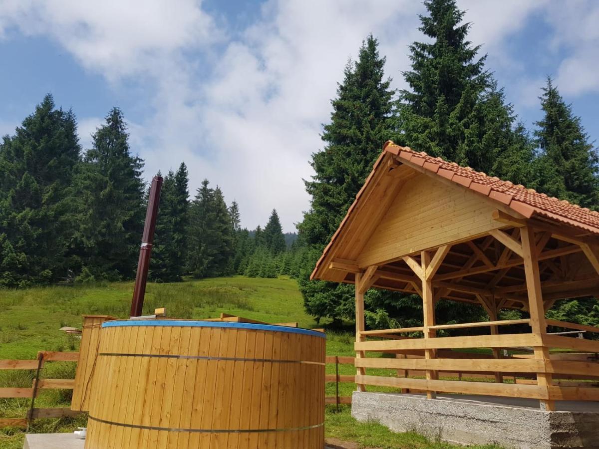 Villa Casa Bogdan Vârtop Esterno foto