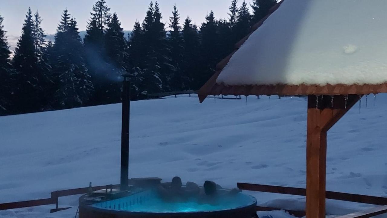 Villa Casa Bogdan Vârtop Esterno foto